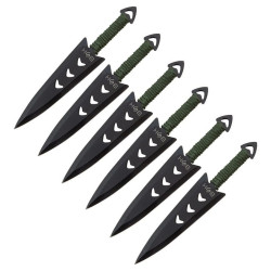 Zestaw Rzutek 6 sztuk BSH N-410E 2