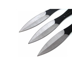 Zestaw Rzutek N-420 2